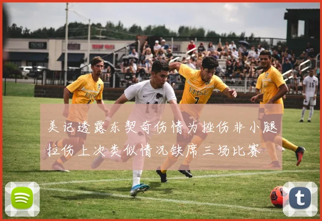 美记透露东契奇伤情为挫伤非小腿拉伤上次类似情况缺席三场比赛